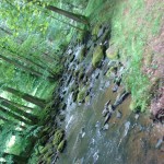 DSC03990