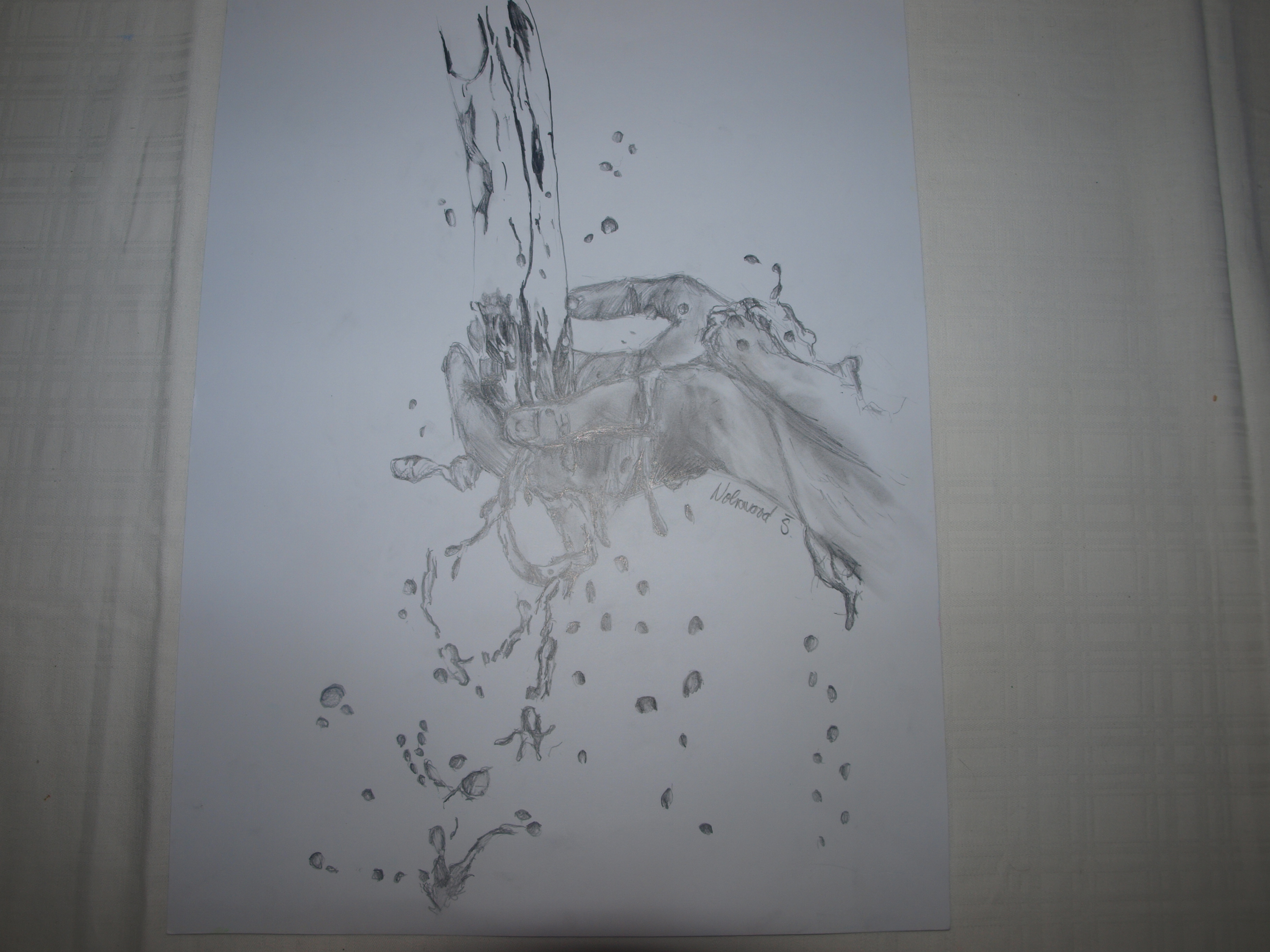 OLYMPUS DIGITAL CAMERA