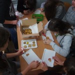 OLYMPUS DIGITAL CAMERA