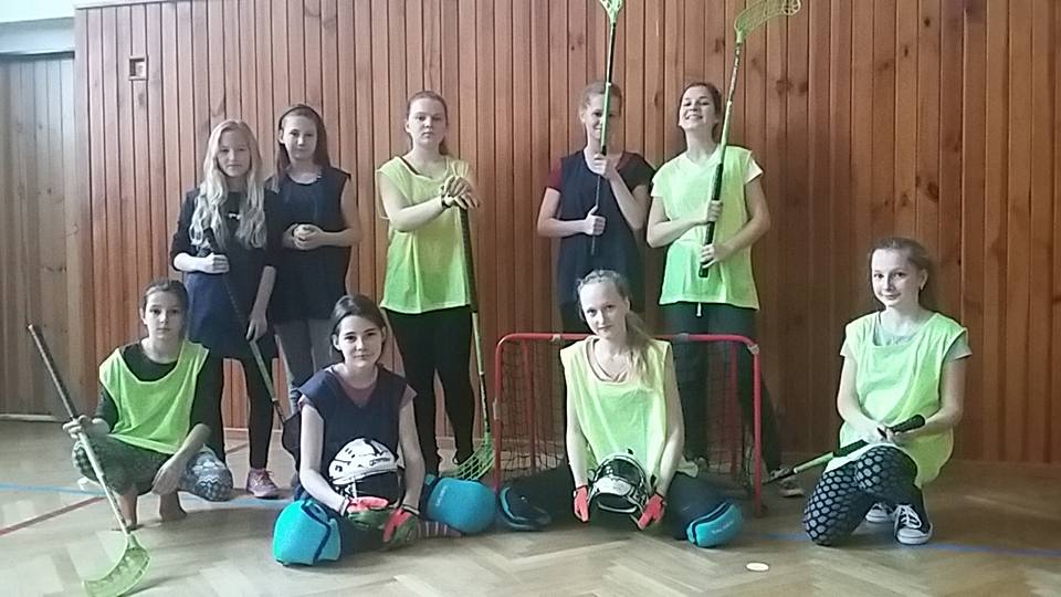 16508470_1274360099296601_5301805331157999504_n