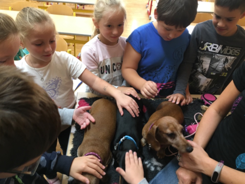 381D2548-EB6B-42B3-ACA7-03184FB3914C