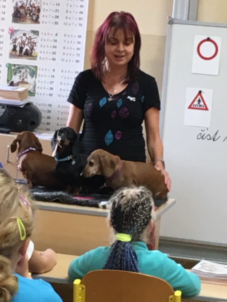 8A358B4F-1DE3-4B15-8F62-A4BC13361DB1