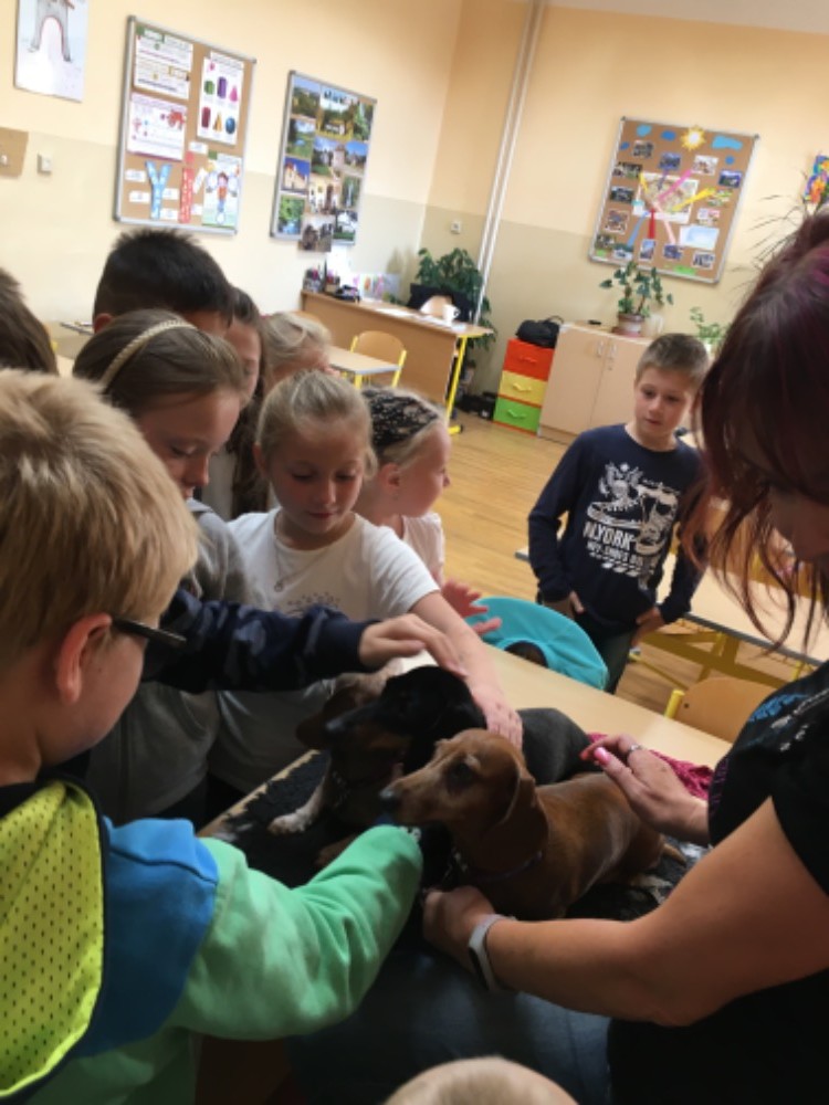 8C9AA264-20F6-4AB6-A50F-07CA39EDE944