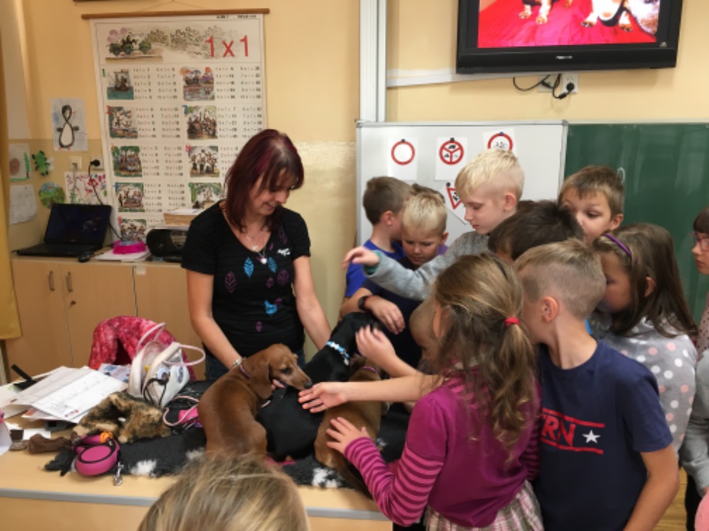 AD5A3A0A-FA45-4B3D-914F-E685568C3304