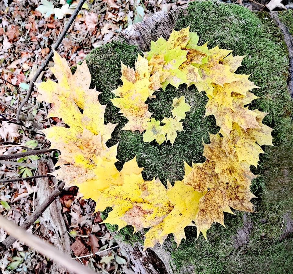 Podzimní_tvoření_v_přírodě_(1)