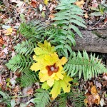 Podzimní_tvoření_v_přírodě_(2)