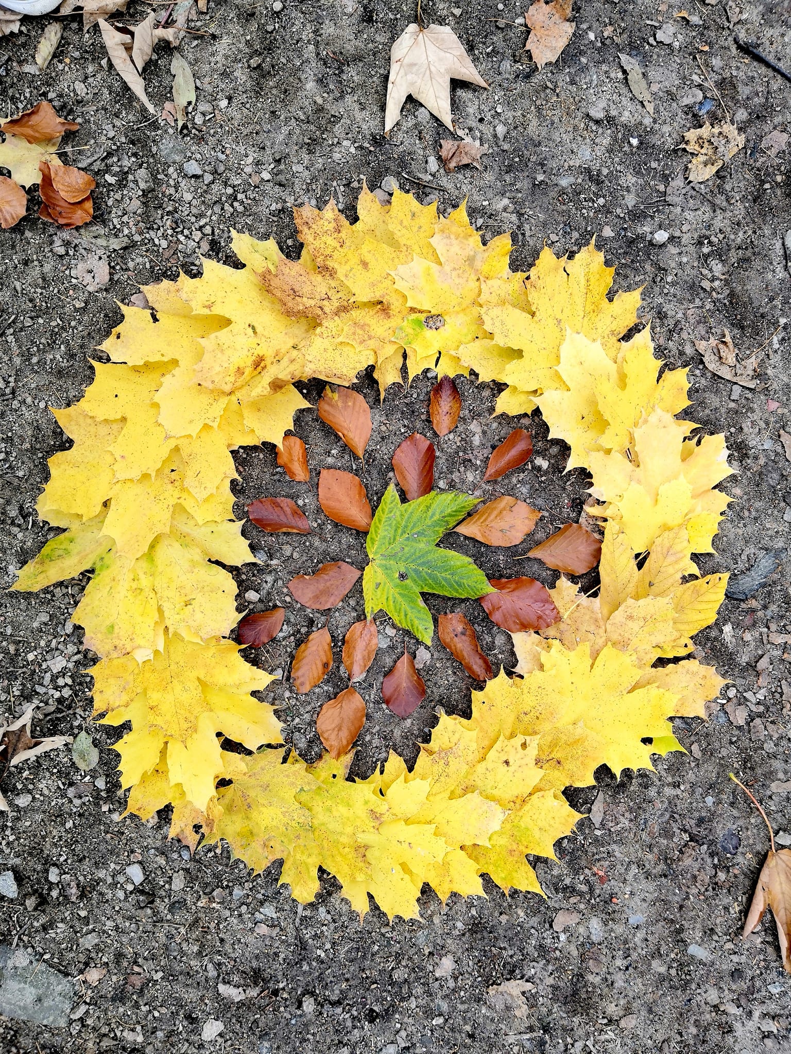 Podzimní_tvoření_v_přírodě_(4)