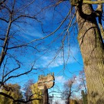 IMG-20241122-WA0012