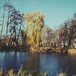 IMG-20241122-WA0023