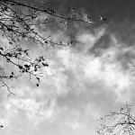 IMG-20241122-WA0024