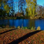 IMG-20241122-WA0032