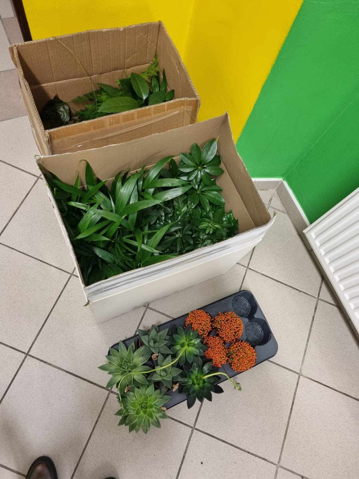květinové_nadělení_od_manželů_Koželuhových