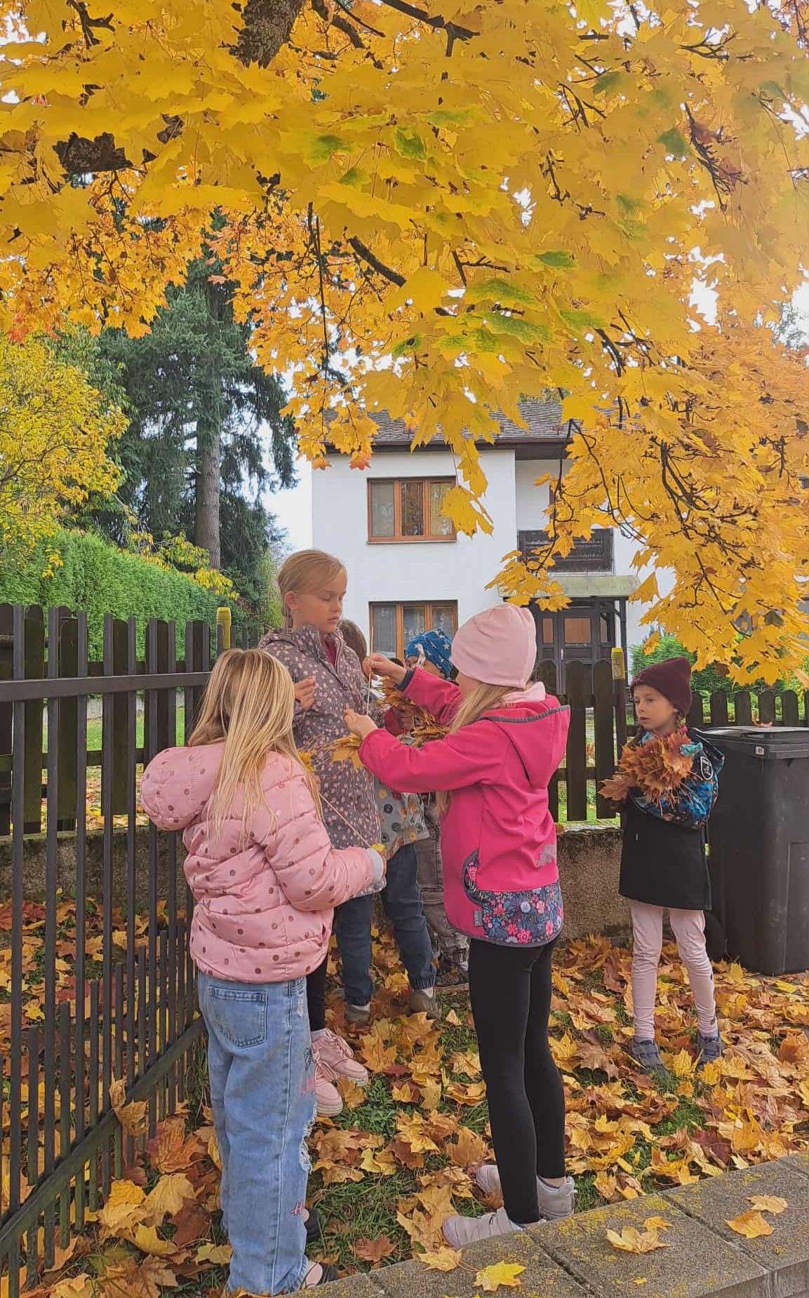 Podzimní_hrátky_venku_(1)